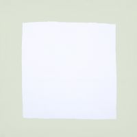 White linen napkin with pastel green border