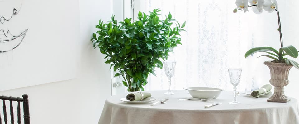 Ivory Tablecloth in Italian Linen - Classic Elegance