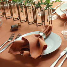 Linen Terracotta Tablecloth-$230